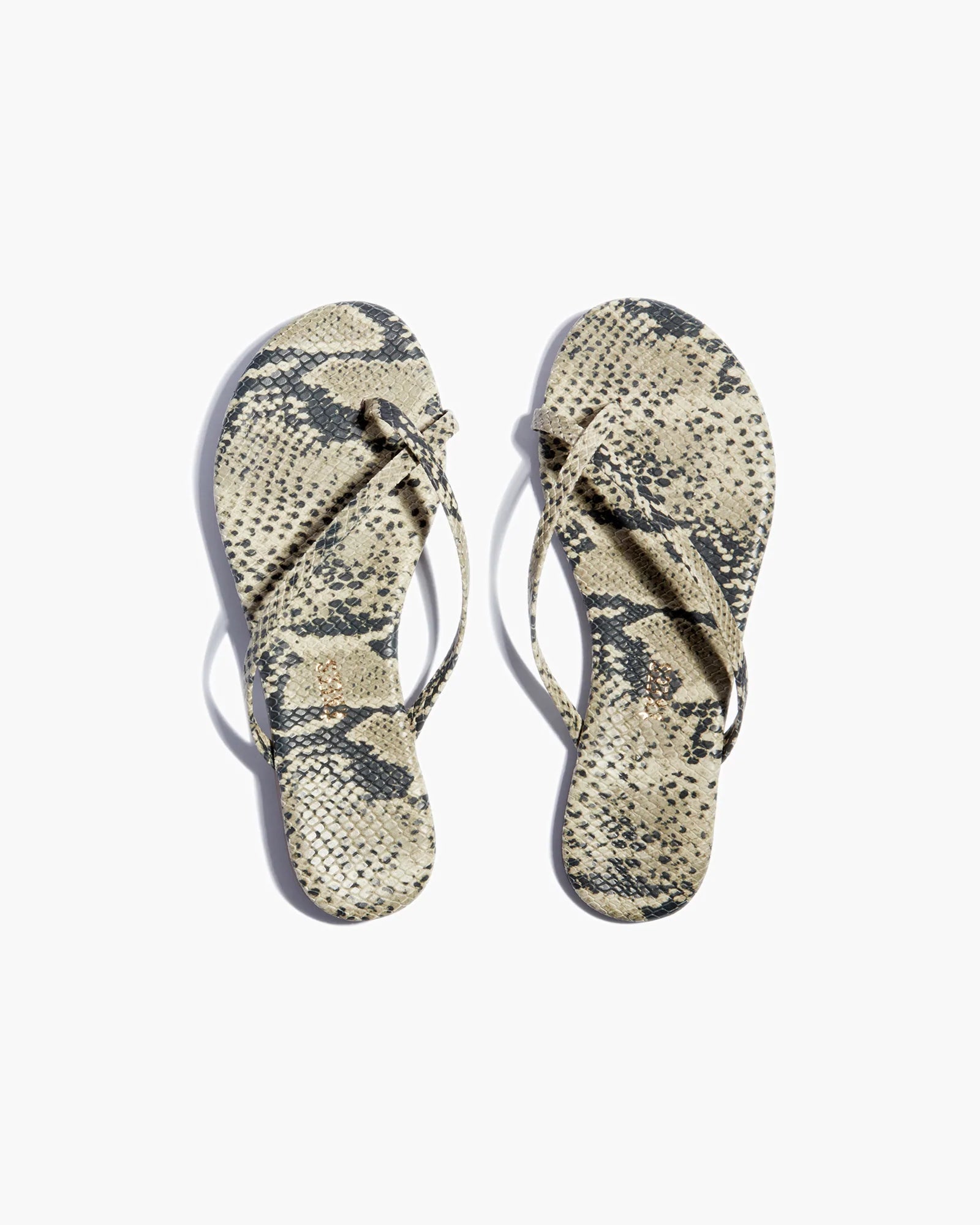 TKEES Riley Vegan Animal Women's's's's's's's's's's's's's's's's's's's's's's Sandals Brown Snake | KJC-601938