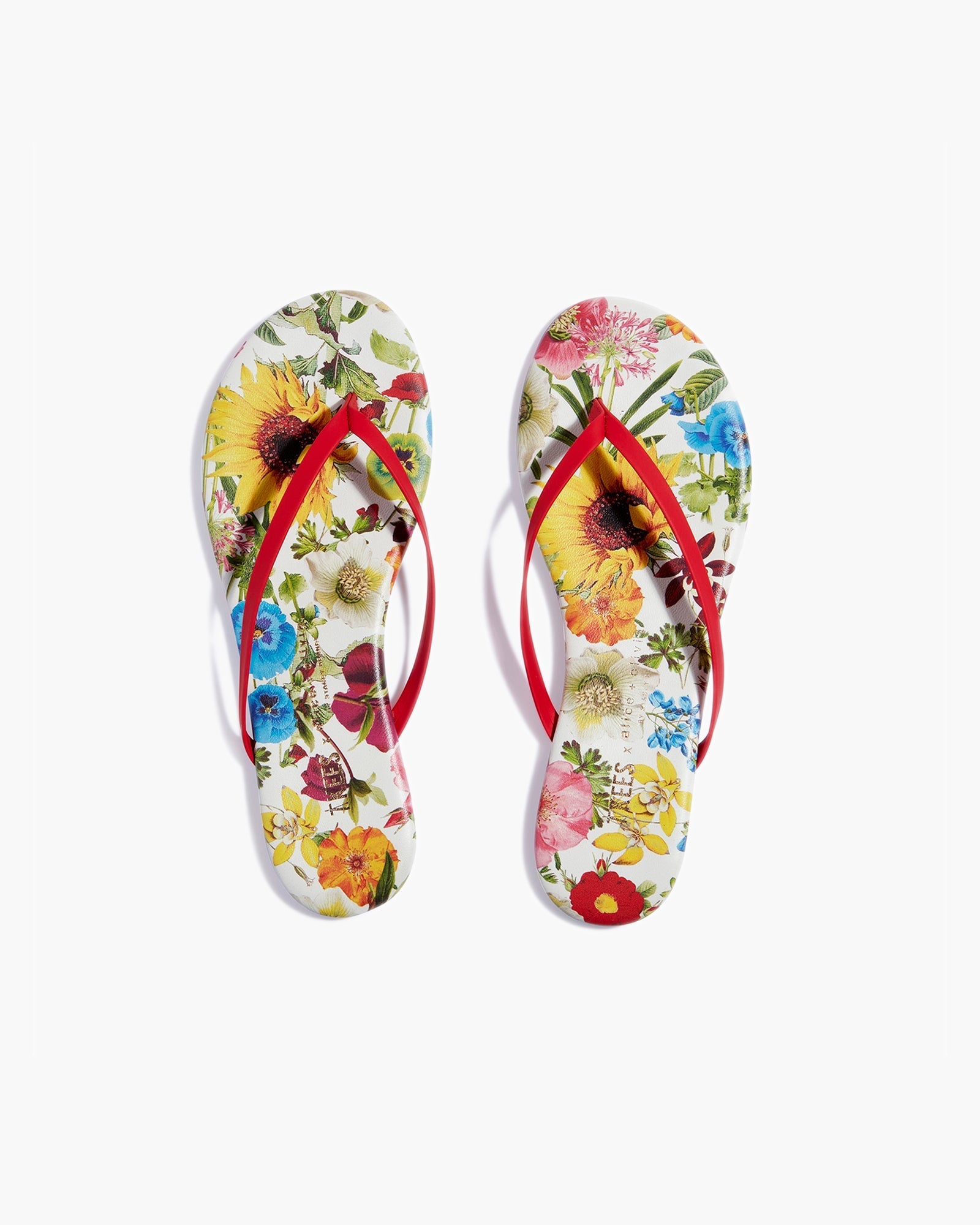 TKEES TKEES x Alice + Olivia Lily Women's's's's's's's's's's's's's's's's's's's's's's Flip Flops Multicolor | JPB-259487